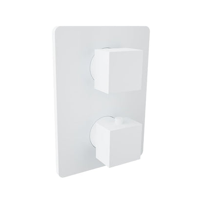 Baril Rec B05 Trim Only For Thermostatic Pressure-Balanced Shower Control Valve With 3-Way Diverter - White