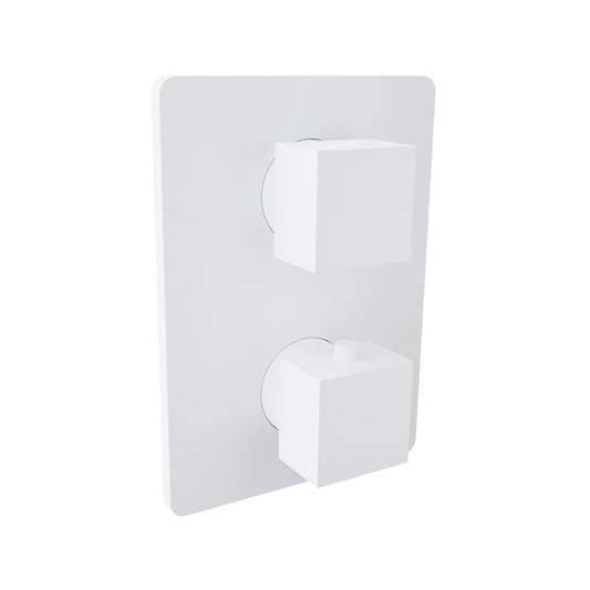 Baril Rec B05 Trim Only For Thermostatic Pressure-Balanced Shower Control Valve With 3-Way Diverter - White