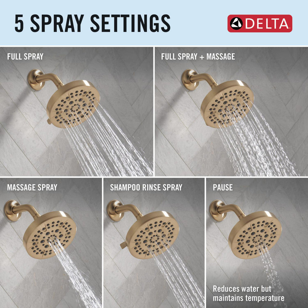 Delta T14462 Champagne Bronze spray settings infographic