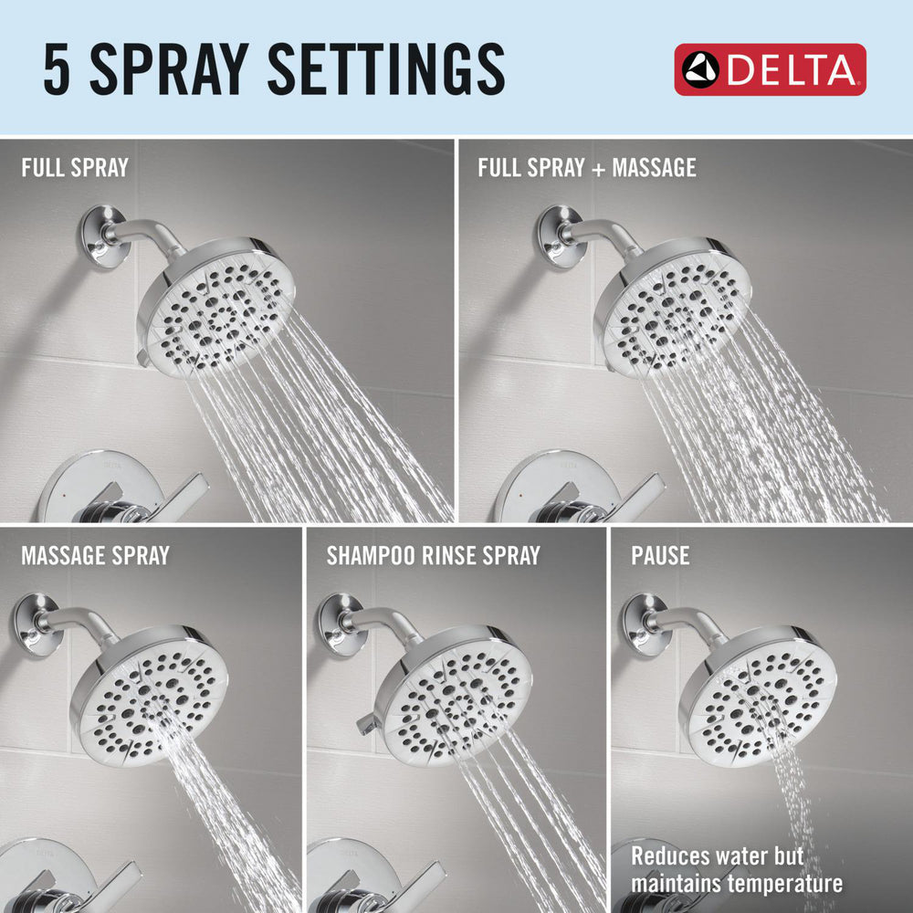 Delta T14462 Chrome spray settings infographic
