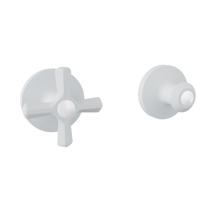 Baril Beaumont B20 Trim only for 3/4" Thermostatic Valve - T20-9452-00
