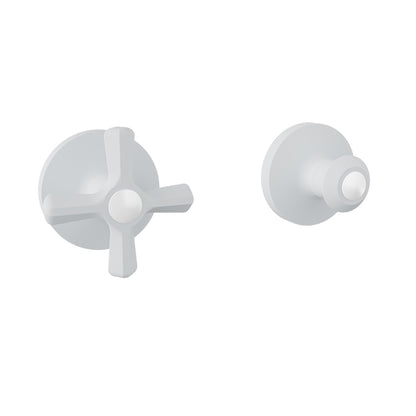 Baril Beaumont B20 Trim only for 3/4" Thermostatic Valve - T20-9452-00