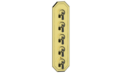 Vogt Carinthia 3/4" High-Flow Thermostatic Valve Trim with 4 Stops in Brushed Gold & Matte Black with Octagonal Handle – TM.C2.450.BGB