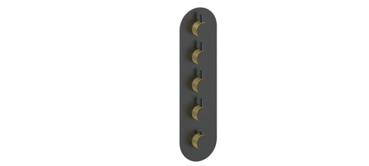 Vogt Drava Trim for 3/4" High-Flow Thermostatic Valve with 4 Volume Controls in Brushed Gold / Matte Black - TM.DA.450.BGB