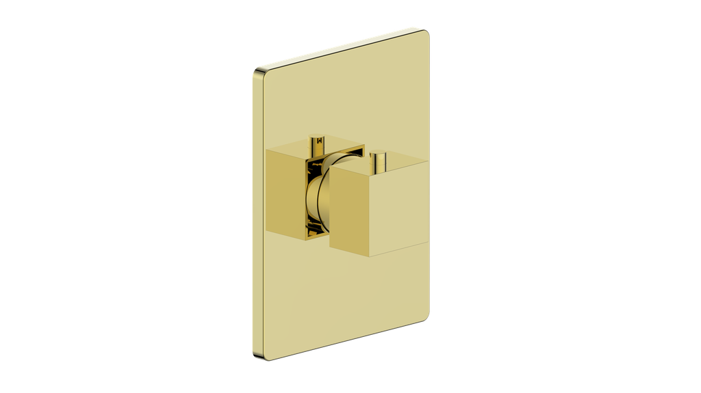 Vogt Kapfenberg Trim for 3/4-inch Thermostatic Valve TM.KG.140 in Brushed Gold