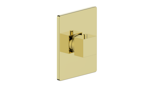 Vogt Kapfenberg Trim for 3/4-inch Thermostatic Valve TM.KG.140 in Brushed Gold