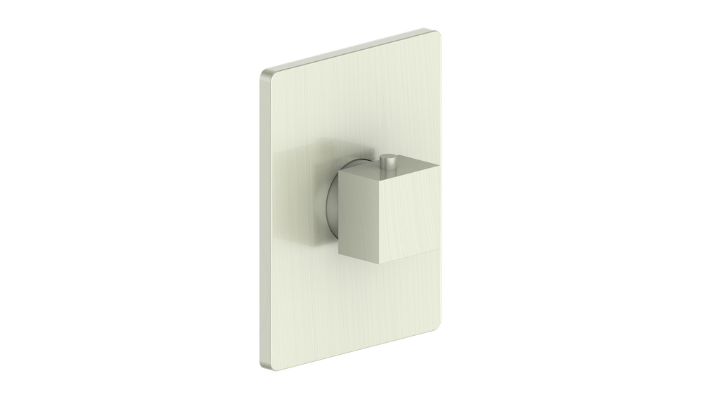 Vogt Kapfenberg Trim for 3/4-inch Thermostatic Valve TM.KG.140 in Brushed Nickel