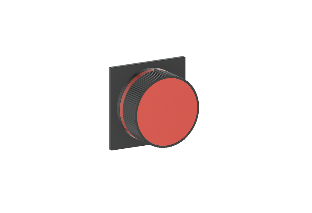Moon / Cinnamon
