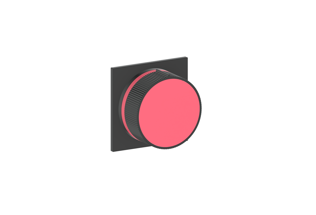Moon / Fresh Raspberry