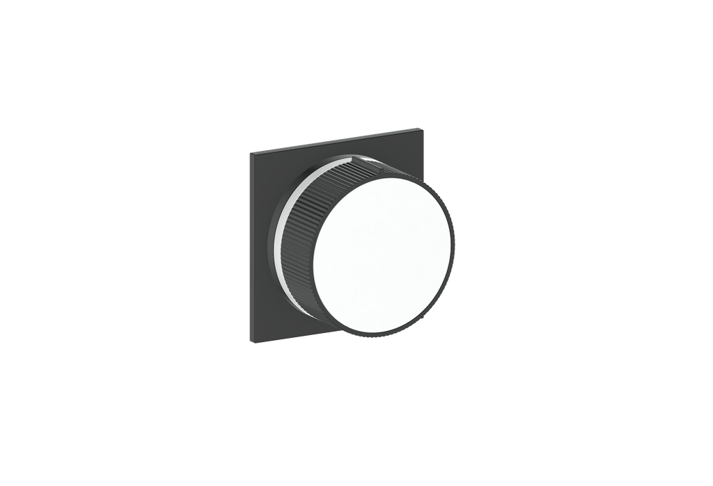 Moon / Matte White