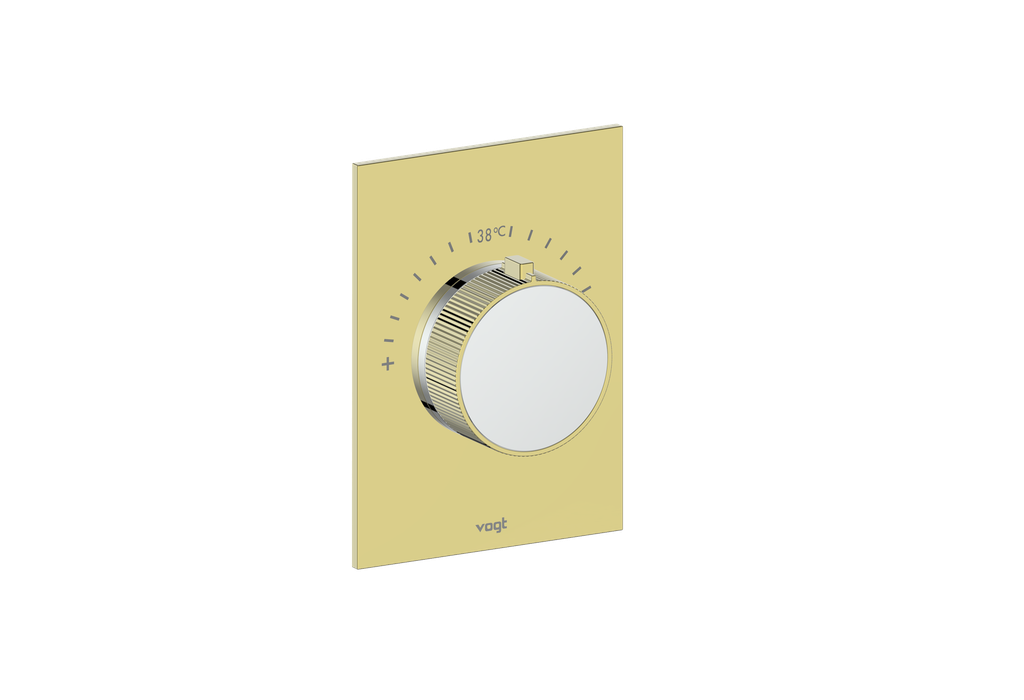 Brushed Gold / Polished Chrome