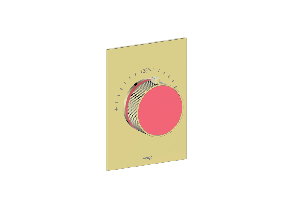 Brushed Gold / Fresh Raspberry