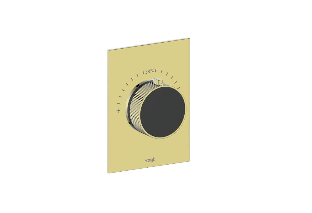 Brushed Gold / Matte Black