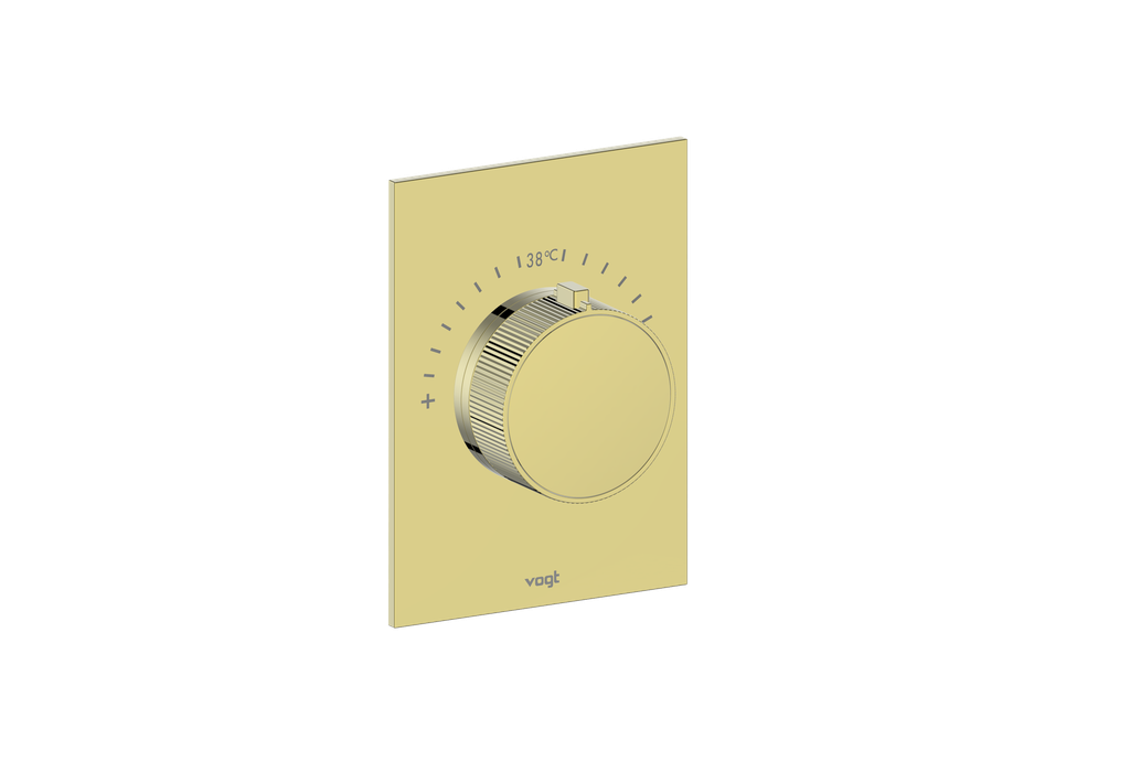 Brushed Gold / Brushed Gold