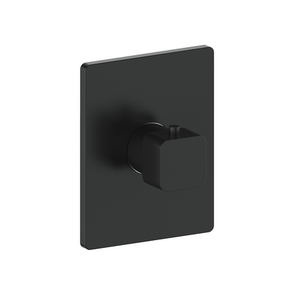 Vogt Niveau Trim for 3/4" Thermostatic Valve in Matte Black - TM.NU.140