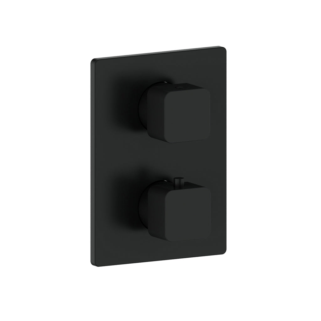 Vogt Niveau Trim for 2-Way Thermostatic Valve in Matte Black - TM.NU.220