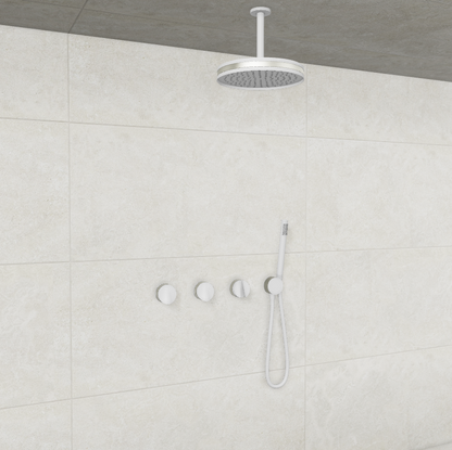 Baril Flora B47 ceiling-mount thermostatic shower system in White with Brushed Nickel accents — TRR-3302-47