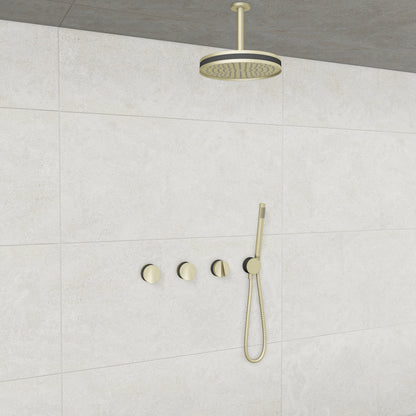 Baril Flora B47 ceiling-mount thermostatic shower system in Satin Brass with Smokey accents — TRR-3302-47