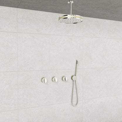 Baril Flora B47 ceiling-mount thermostatic shower system in Polished Nickel with Satin Brass accents — TRR-3302-47