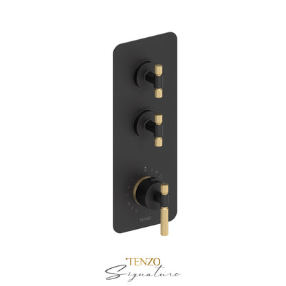 Tenzo Bellacio Extenza 2-Function Thermostatic High-Flow Shower Valve, Rough & Trim, Smaller Knurled - BET42-F