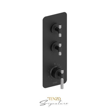 Tenzo Bellacio Extenza 2-Function Thermostatic High-Flow Shower Valve, Rough & Trim, Smaller Knurled - BET42-F