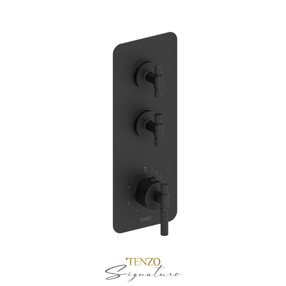 Tenzo Bellacio Extenza 2-Function Thermostatic High-Flow Shower Valve, Rough & Trim, Smaller Knurled - BET42-F