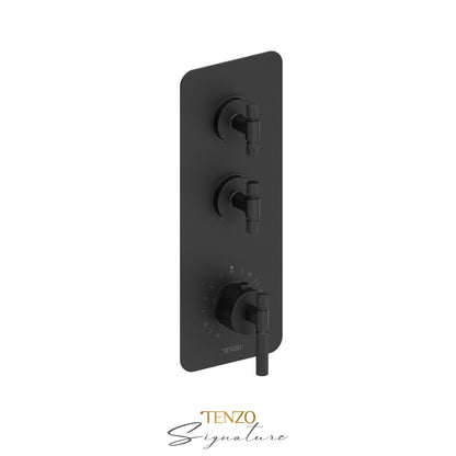 Tenzo Bellacio Extenza 2-Function Thermostatic High-Flow Shower Valve, Rough & Trim, Smaller Knurled - BET42-F