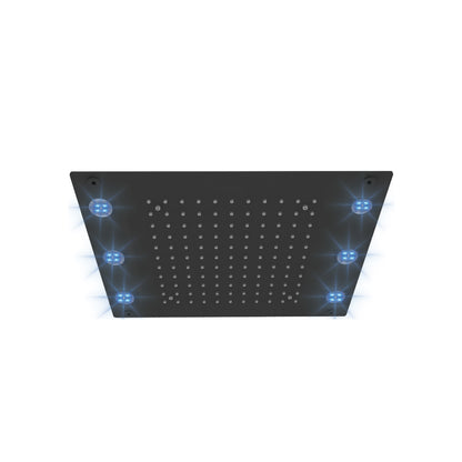 Tenzo Ceiling Shower Head With LED, 33 x 43 cm [13 x 17"] - CTS-1317L