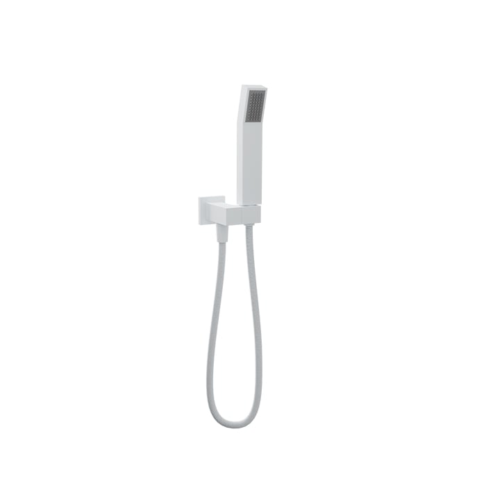 Baril DSP-2555-20 hand shower set in White