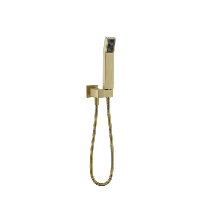 Baril DSP-2555-20 hand shower set in Satin Brass