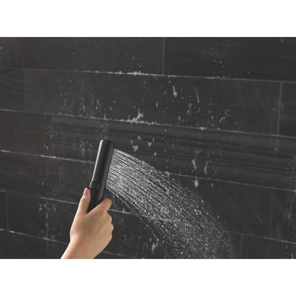 Delta 59537 Bonacci 2-Setting Hand Shower with ProClean Spray