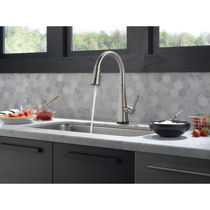 Delta Lenta Single-Handle Pull-Down Kitchen Faucet With Touch2O Technology