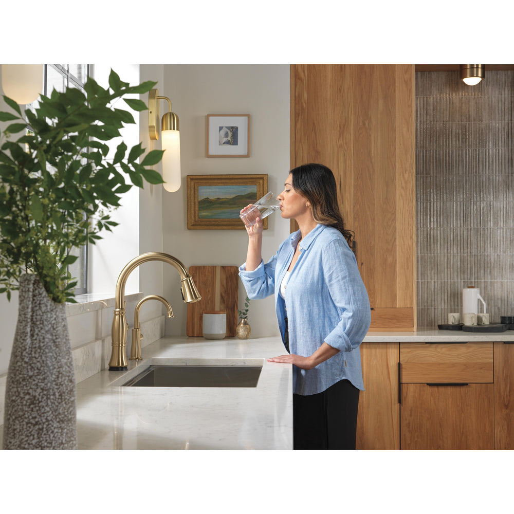 Delta Traditional Beverage Faucet - 1960