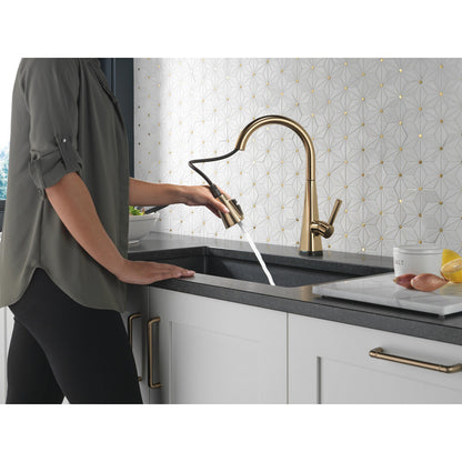 Delta Lenta Single-Handle Pull-Down Kitchen Faucet With Touch2O Technology