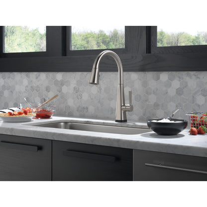 Delta Lenta Single-Handle Pull-Down Kitchen Faucet With Touch2O Technology