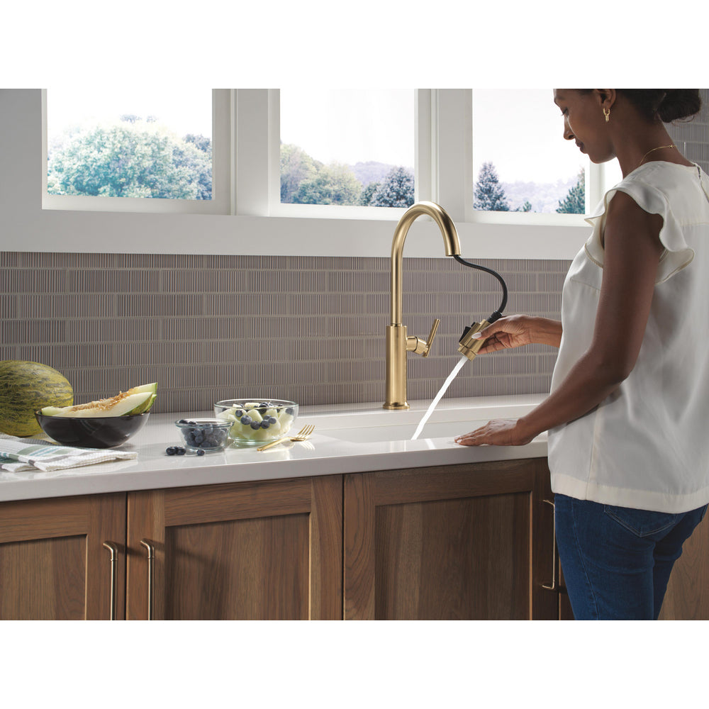 Delta Altado Pulldown Kitchen Faucet - 9186-DST