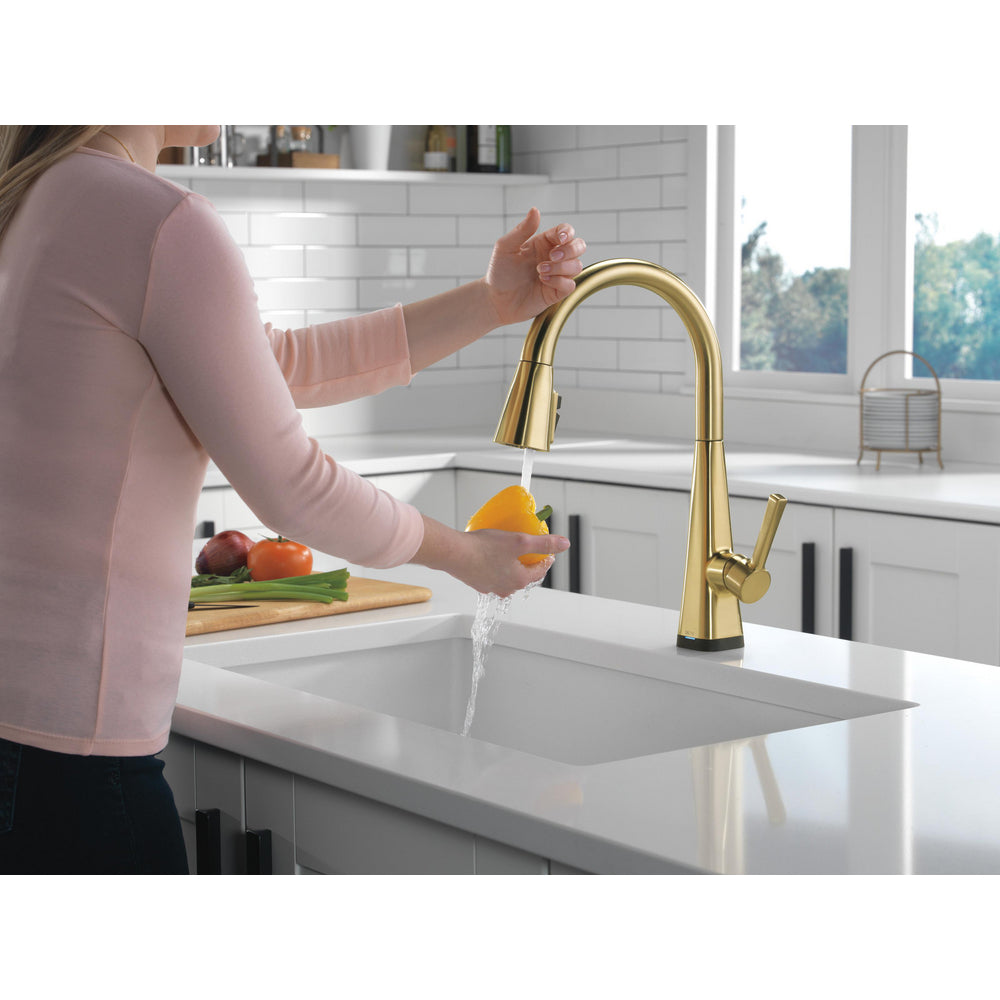Delta Lenta Single-Handle Pull-Down Kitchen Faucet With Touch2O Technology