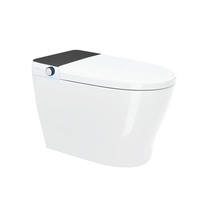 Kodaen Canary Integrated Smart Toilet