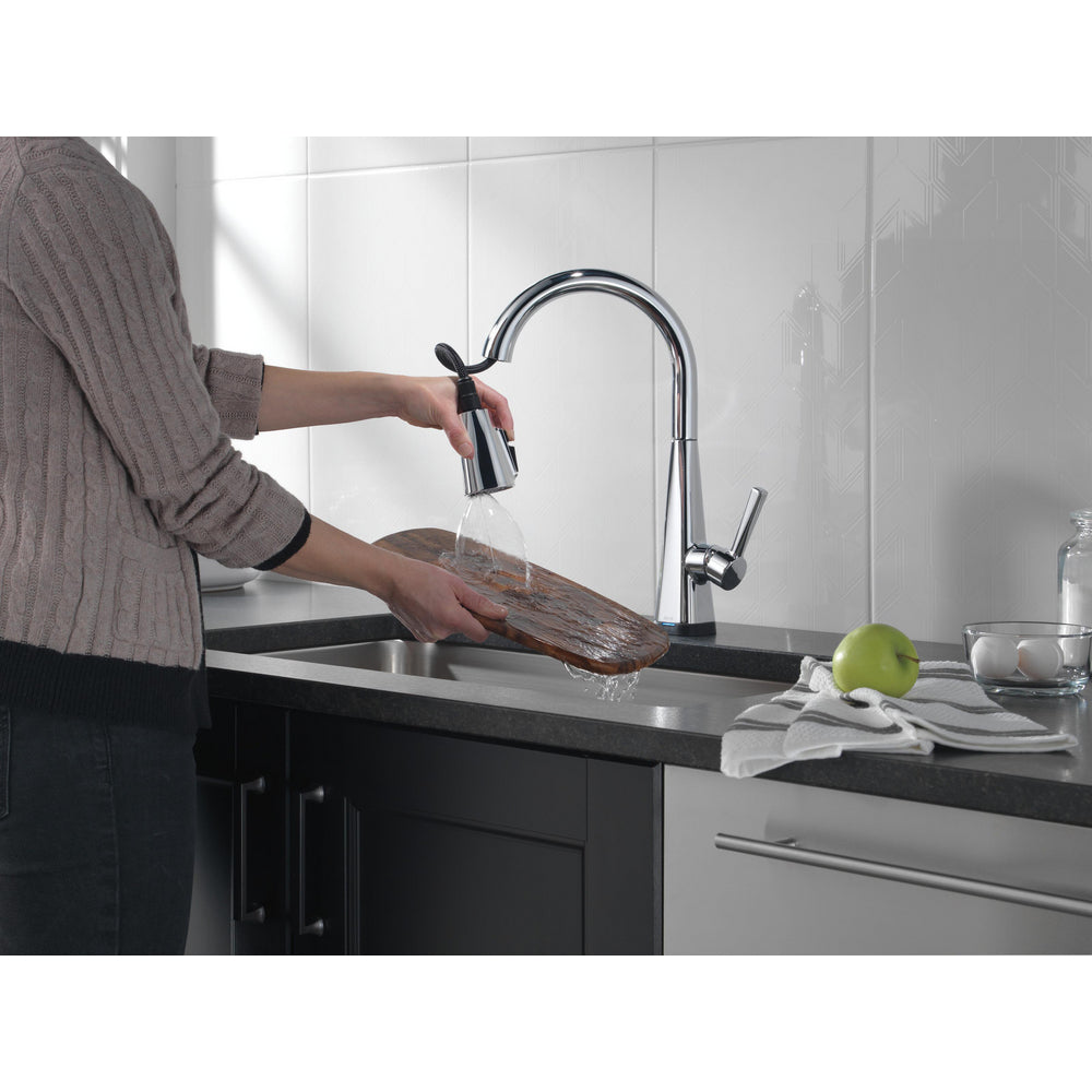 Delta Lenta Single-Handle Pull-Down Kitchen Faucet With Touch2O Technology