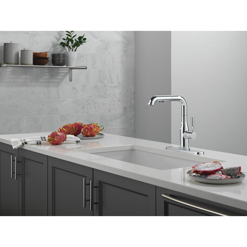 Delta Almari Single Handle Pull-Out Kitchen Faucet