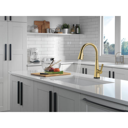 Delta Lenta Single-Handle Pull-Down Kitchen Faucet With Touch2O Technology