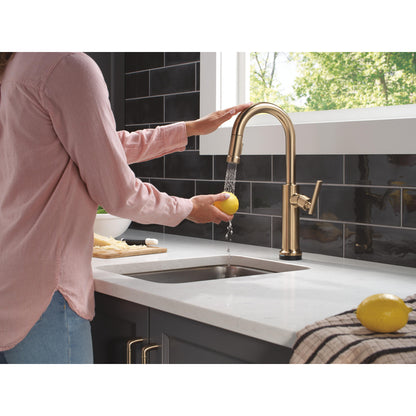 Delta Altado Touchless Pulldown Bar/Prep Faucet - 9986TL