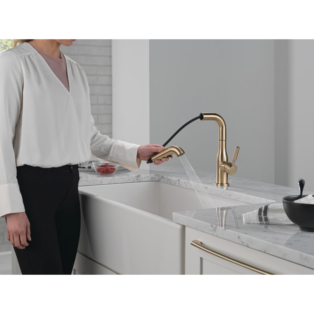Delta Almari Single Handle Pull-Out Kitchen Faucet