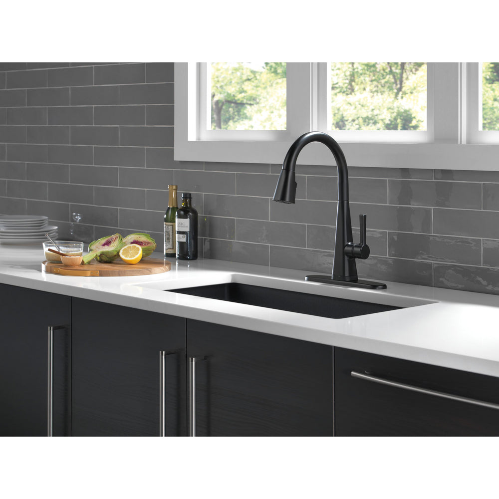 Delta Lenta Single-Handle Pull-Down Kitchen Faucet With Touch2O Technology
