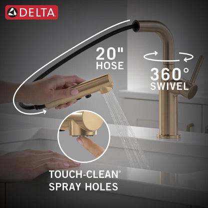 Delta Daneri Single Handle Pull-Out Kitchen Faucet - 16879