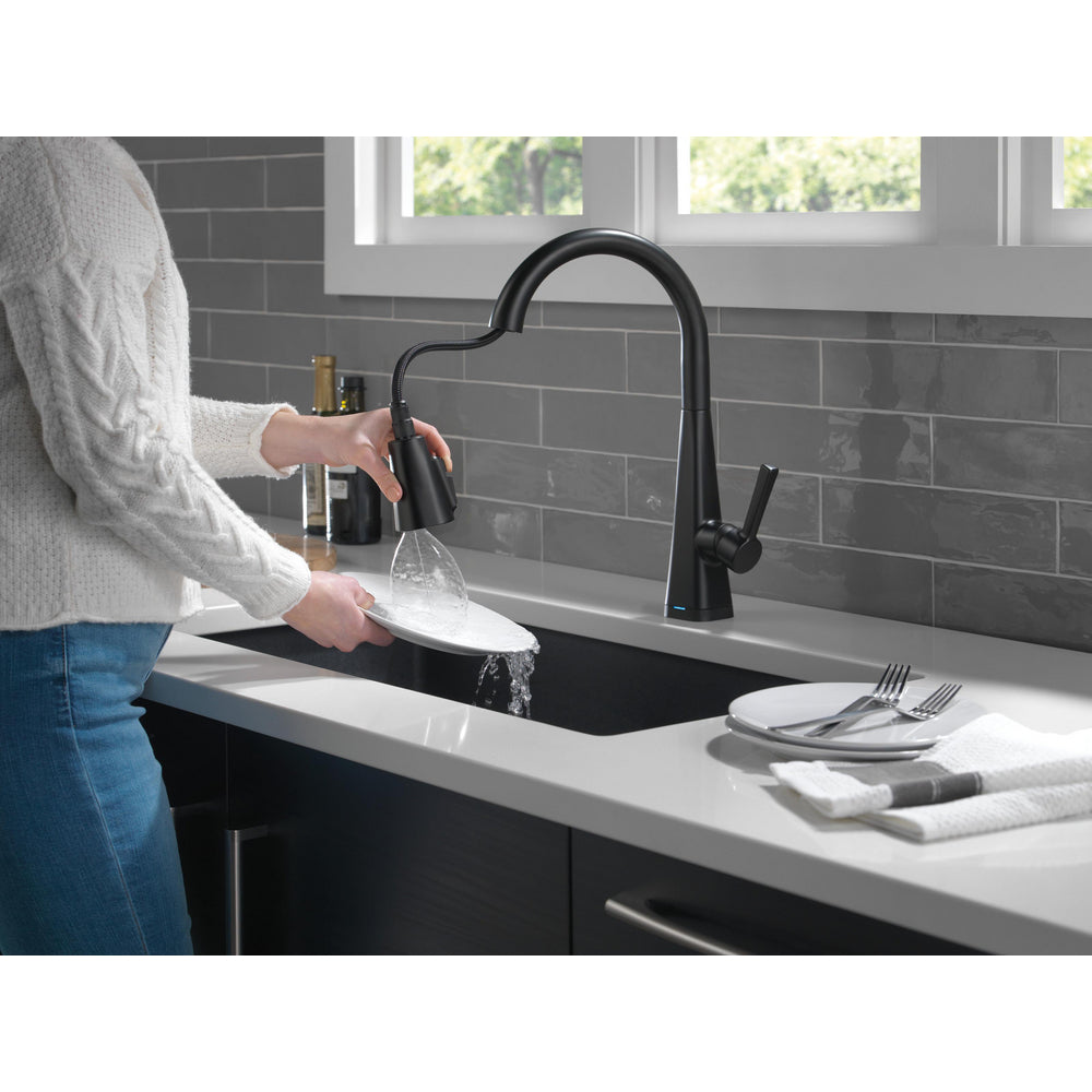Delta Lenta Single-Handle Pull-Down Kitchen Faucet With Touch2O Technology