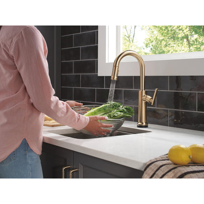 Delta Altado Touchless Pulldown Bar/Prep Faucet - 9986TL