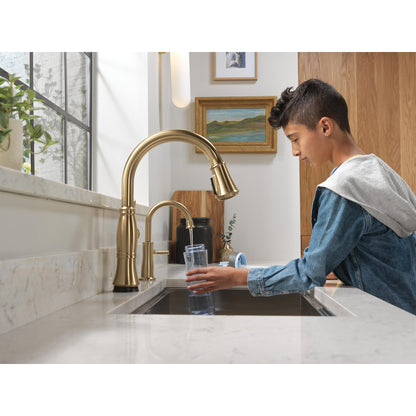 Delta Traditional Beverage Faucet - 1960