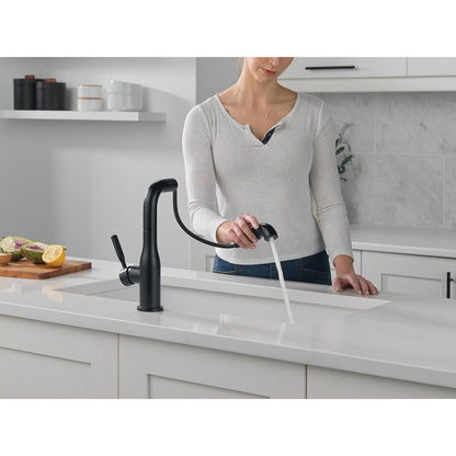 Delta Almari Single Handle Pull-Out Kitchen Faucet