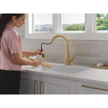 Delta Lenta Single-Handle Pull-Down Kitchen Faucet